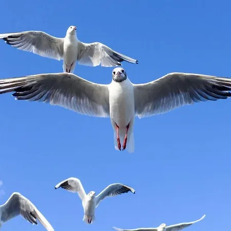 Kaiserhof View * Kellenhusen