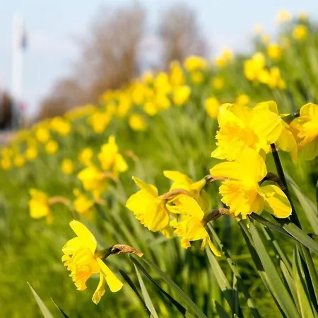 Casa vacanze Kaiserhof View Kellenhusen