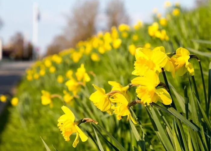 Vakantiehuis Kaiserhof View Kellenhusen